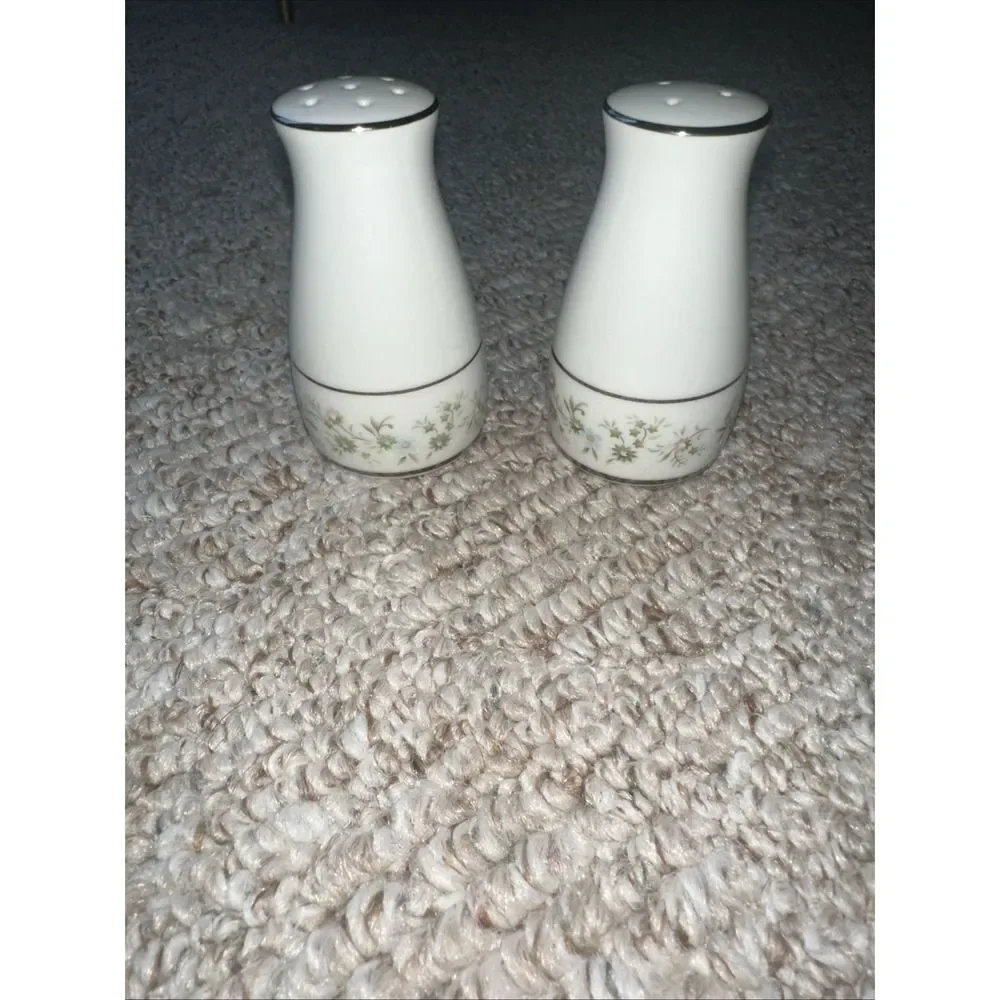 Rare Vintage Salt‎ & Pepper Set SAVANNAH By Noritake 2031 Fine China